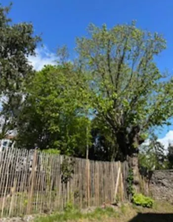 1 Avec Jardin, Terrasses, Parking Gratuit